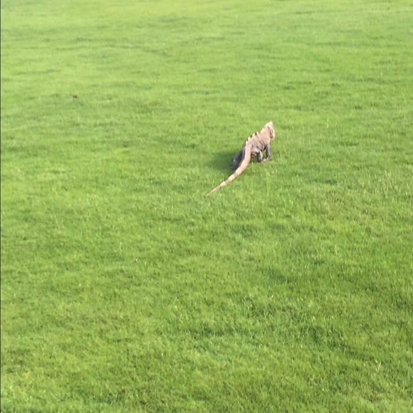 Profile Picture of Cole Derian (@colederian) on Poshmark