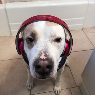 Profile Picture of JanKai3 (@JanetKai3) on Twitter