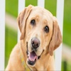 Profile Picture of Colleen Keith Donnelly (@@colleenkeithdonne) on Tiktok