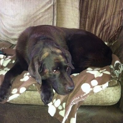 Profile Picture of Chris Basham (@cbash1969) on Twitter
