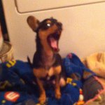 Profile Picture of Caleb (@ivancopley) on Instagram