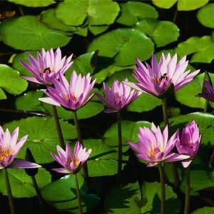 Profile Picture of Mary Blanton (@mary.blanton) on Myspace