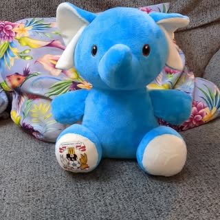 Profile Picture of Scott Fincham (@fincham_scott) on Instagram