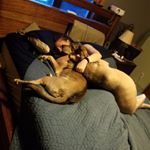 Profile Picture of Brian McIlwaine (@mcilwaine.brian) on Instagram