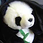 Profile Picture of S Hsu (@Stephanie Hsu1) on Flickr