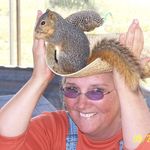 Profile Picture of Paula Tanner Parkhurst (@paula.t.parkhurst) on Instagram