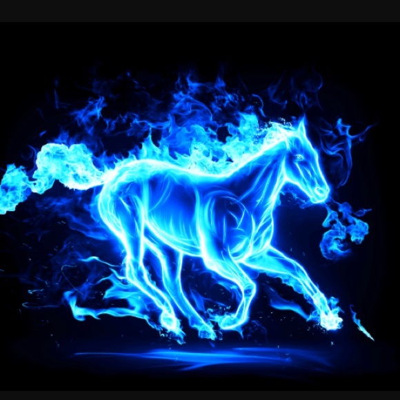 Profile Picture of Inderjit Kaur (@inderjit540) on Poshmark