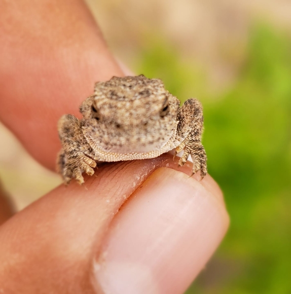 Verny Vern - Poshmark Profile Picture of Verny Vern (@elvirnahot30) on Poshmark