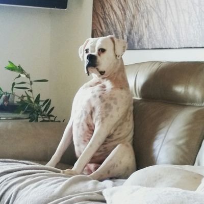 Profile Picture of Angela Pearce (@AngelaPearce1) on Twitter