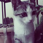 Profile Picture of Darwin Bryant (@readyroyalbliki) on Instagram