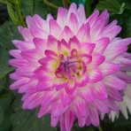 Profile Picture of Marilyn Filipek (@marilyn.filipek.1) on Facebook