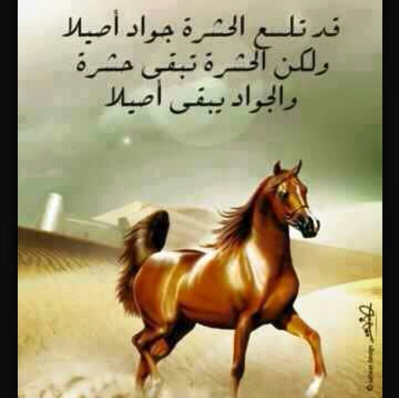 Profile Picture of Dalal Issa (@dalalatrash17) on Poshmark