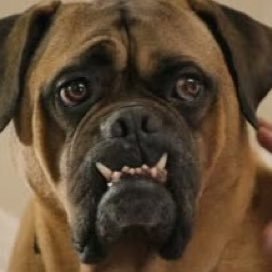 Profile Picture of Georgios Andreadis (@GeorgeTheKingA) on Twitter