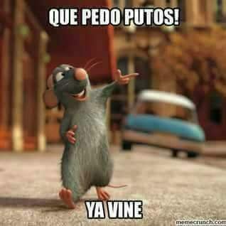 Moises Arredondo - Twitter Profile Picture of Moises Arredondo (@ArredondoMoy) on Twitter