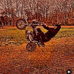 Profile Picture of Simon Amir (@Simon-Amir) on Facebook