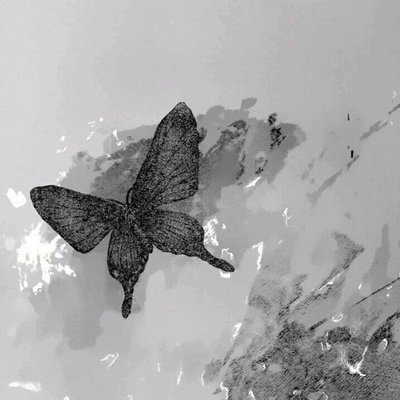 Profile Picture of Alice Shine (@AliceShine3) on Twitter