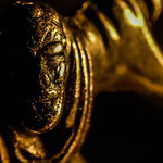 Profile Picture of Nathaniel Rabbitt (@nathaniel rabbitt) on Flickr