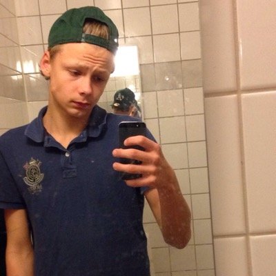 Profile Picture of Albin Netzell (@Fridanet97) on Twitter