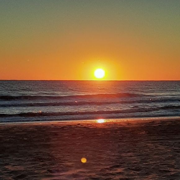 Profile Picture of Joyce Reynolds (@joycereynold905) on Poshmark