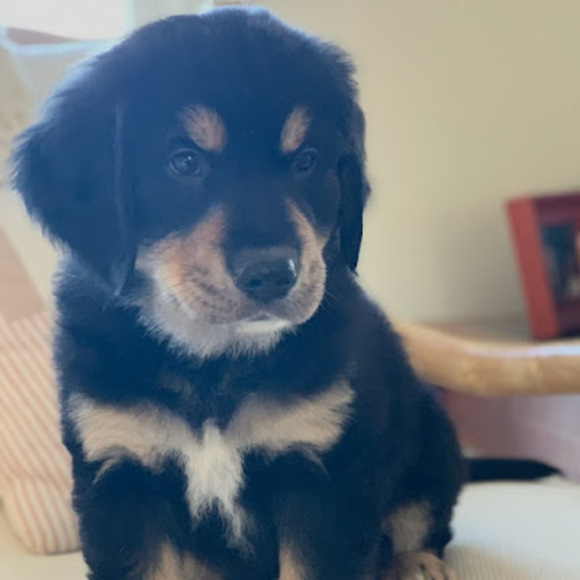 Profile Picture of John Moffa (@jmoffa89) on Poshmark