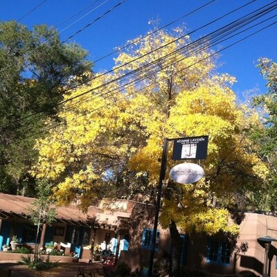 Profile Picture of Dawn E Walter (@dawn_walter) on Twitter