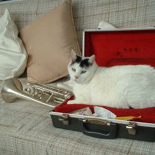 Profile Picture of John Brimecombe (@John-Brimecombe) on Facebook