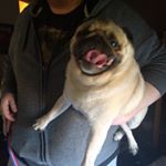 Profile Picture of Seth Whaley (@hellomynameis_03) on Instagram