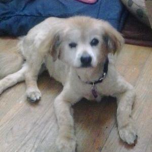 Profile Picture of Sean Branagan (@seanmbranagan) on Twitter