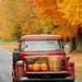 Profile Picture of Sue Peterson Dunlap (@petersondunlap) on Pinterest