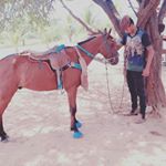 Profile Picture of Geraldo Igor (@geraldo.igor.5602) on Instagram