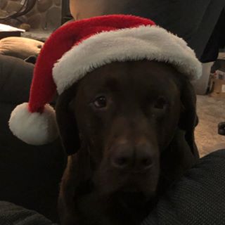 Profile Picture of Alex Bourdo (@alex.bourdo.7) on Facebook