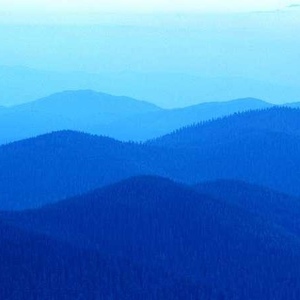 Profile Picture of Adrián Quirós (@317157151) on Myspace