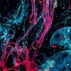 Profile Picture of Carey Howard (@user1516534050032) on Tiktok
