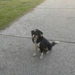 Profile Picture of Jan Tepper (@tepperjan) on Instagram