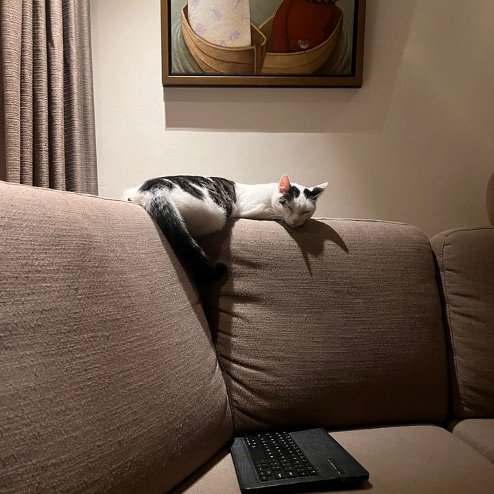 Profile Picture of Benjaminlee (@benjaminlee22) on Tiktok