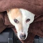 Profile Picture of Scott Hargrave (@hargrave.scott) on Instagram