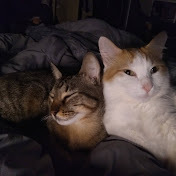 Profile Picture of Ruth Matute (@ruthmatute8970) on Youtube