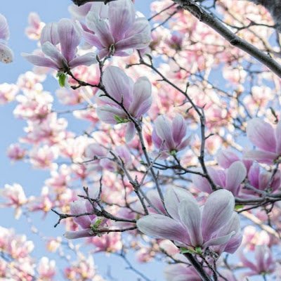 Profile Picture of Kim Kim (@Kim01173829) on Twitter