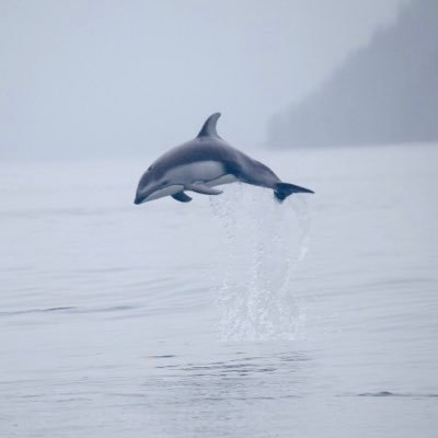 Profile Picture of Cheryl Helm (@CherylHelm3) on Twitter