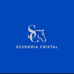 Profile Picture of Scuderia Cristal (@Scuderia-Cristal) on Facebook