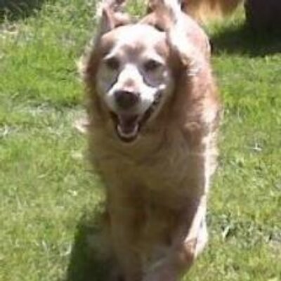 Profile Picture of Charles Christman (@chaz1267) on Twitter