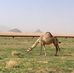 Profile Picture of Hamad Almansor (@hamad.almansor.14) on Facebook