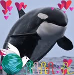 Profile Picture of Amanda Sarvis (@amanda.sarvis.56) on Facebook