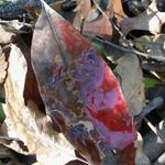 Profile Picture of Eric Wilson (@straight_and_arrow2001) on Instagram