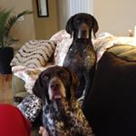 Profile Picture of Kevin Mangum (@wveer) on Instagram