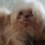 Profile Picture of Gemma Lim (@gemma.lim.41488) on Facebook