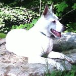 Profile Picture of James Grzesiak (@jimgrzesiak) on Instagram