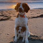 Profile Picture of Marcu andria albertini (@madria07) on Instagram