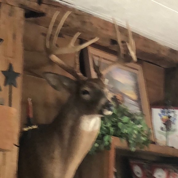 Profile Picture of Jeff Kyger (@jkyger) on Poshmark