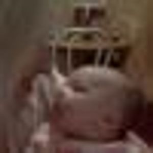 Profile Picture of Cindy Thorne (@337971056) on Myspace